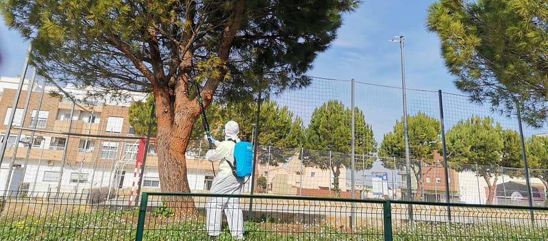 Se ve a un operario de nomasbixos pulverizando un pino de un jardín público.